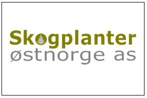 Skogplanter Østnorge