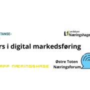 Digital markedsføring