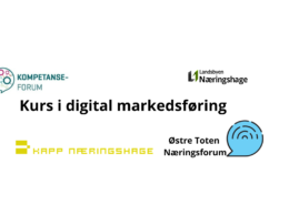 Digital markedsføring