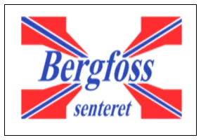 Bergfoss-web